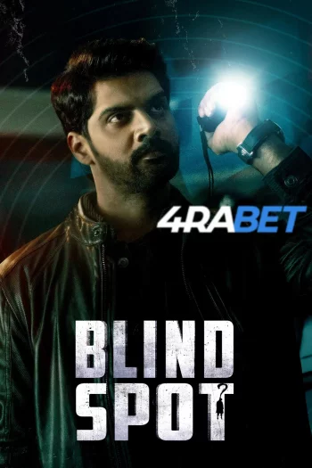 Blind Spot (2025) Hindi (HQ-Dub) HDRip 720p 480p Full Movie