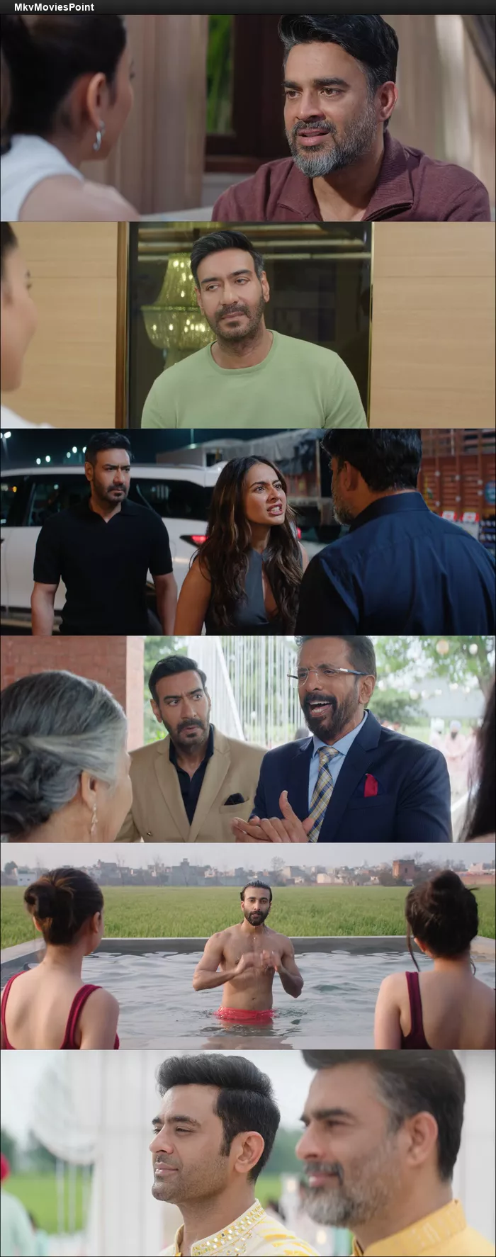 De De Pyaar De 2 (2025) Hindi HDRip 4K 1080p 720p 480p Full Movie Screenshot