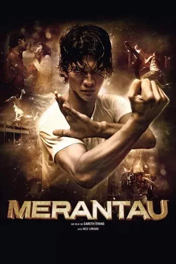Merantau (2009) Blu-Ray 1080p 720p 480p Dual Audio Hindi English