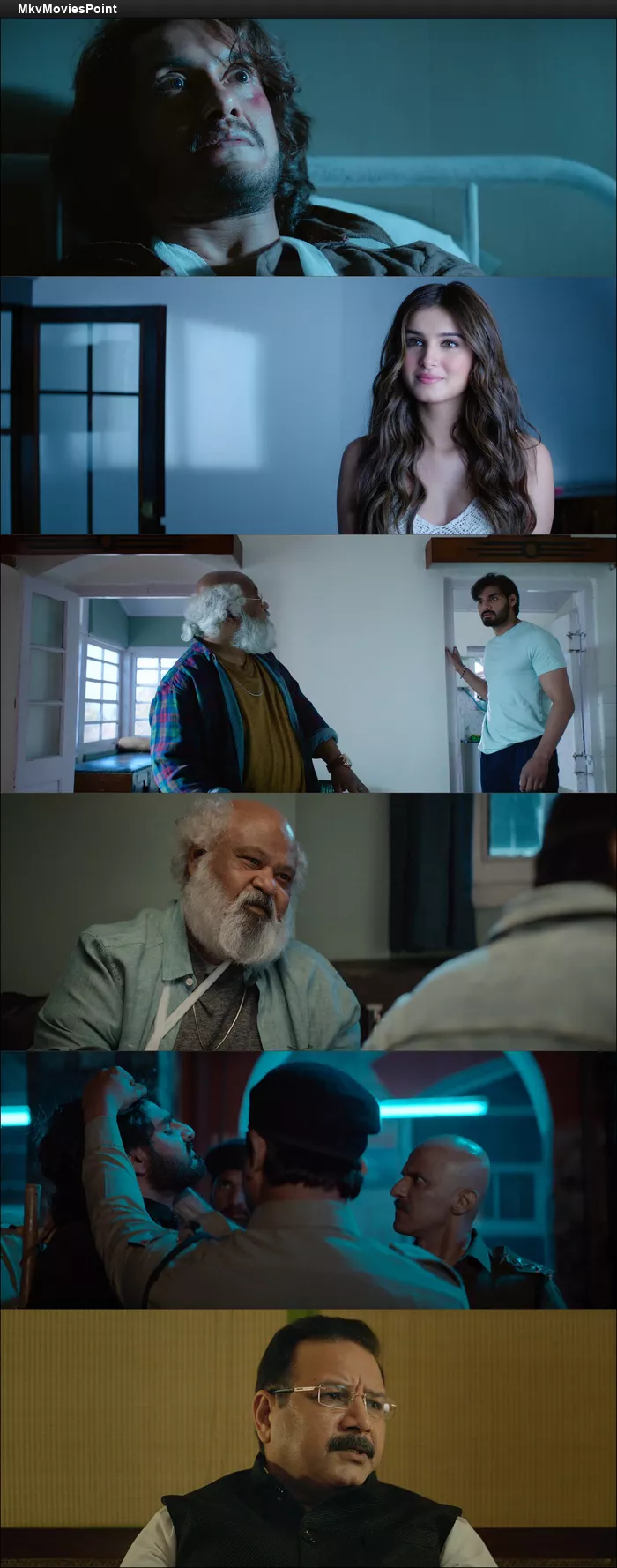 Tadap (2021) Hindi HDRip 1080p 720p 480p Full Movie Screenshot