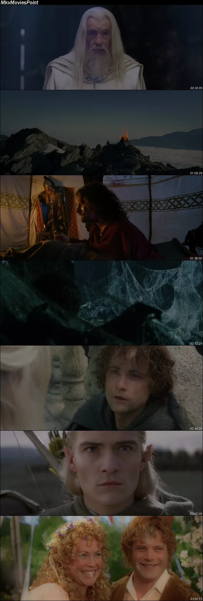 The Lord of the Rings: The Return of the King (2003) Dual Audio Hindi English Screenshot