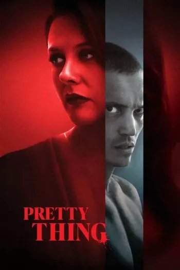 Pretty Thing (2025) Blu-Ray 1080p 720p 480p Dual Audio Hindi English
