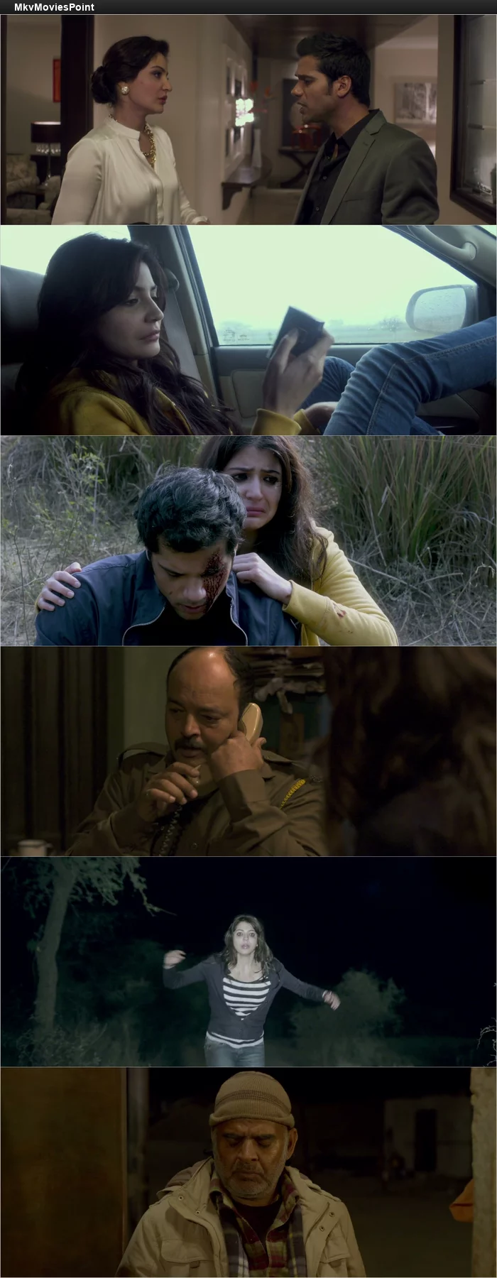 NH10 (2015) Hindi HDRip 1080p 720p 480p Full Movie Screenshot
