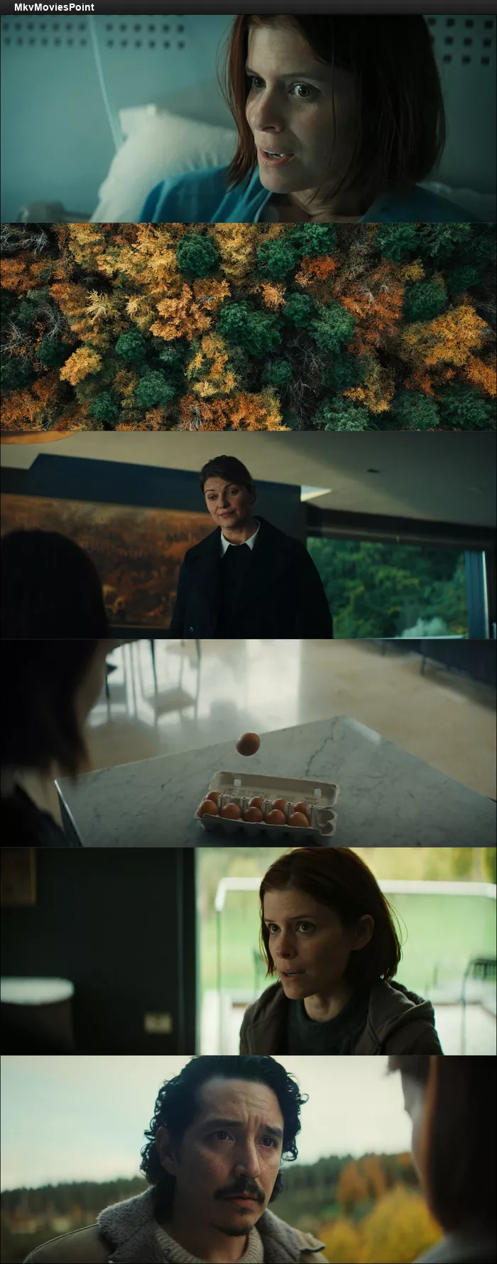 The Astronaut (2025) Screenshot