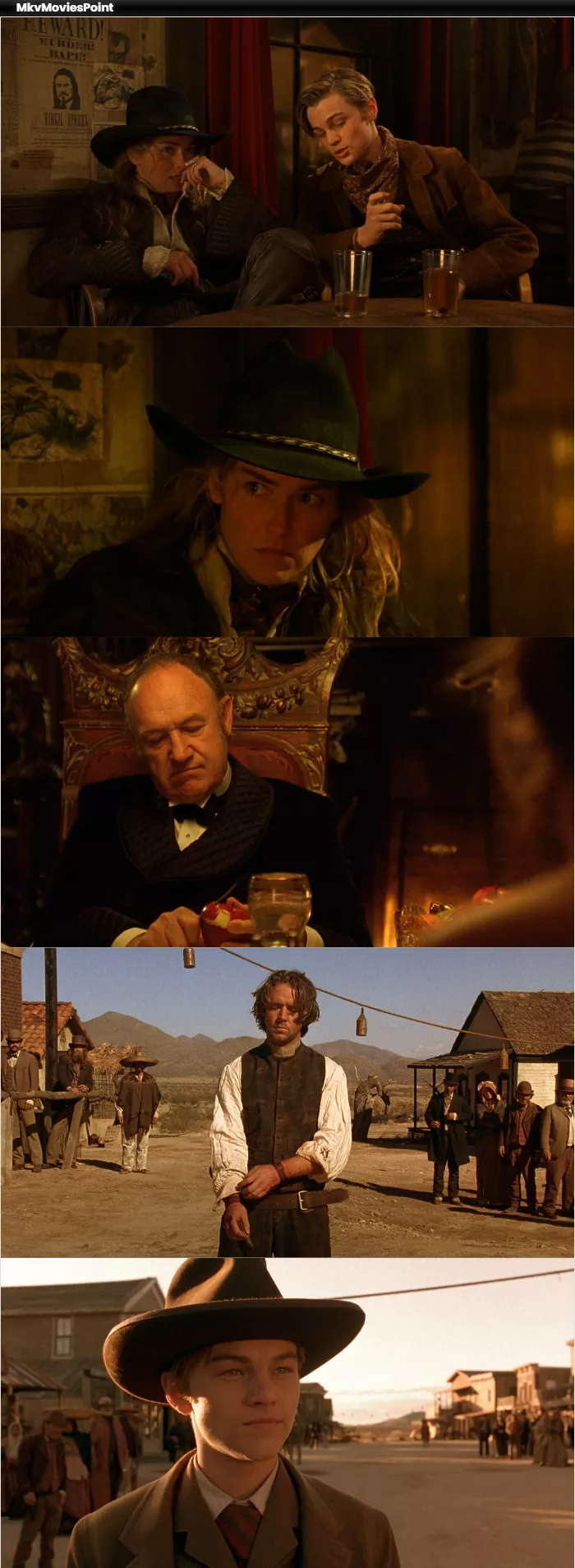 The Quick and the Dead (1995) BluRay 1080p 720p 480p Dual Audio Hindi English Screenshot