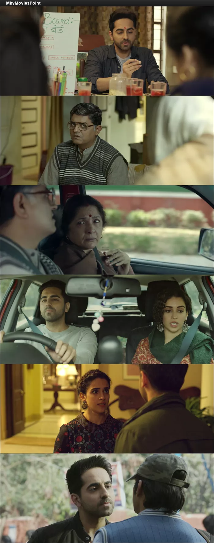 Badhaai Ho (2018) Hindi Blu-Ray 1080p 720p 480p Full Movie Screenshot