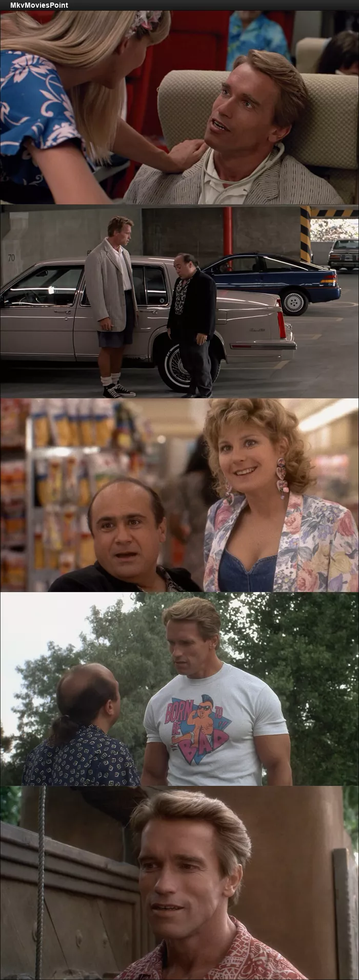Twins (1988) BluRay 1080p 720p 480p Dual Audio Hindi English Screenshot