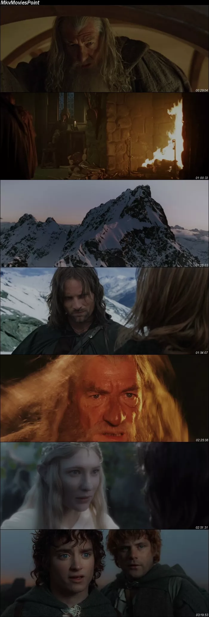 The Lord of the Rings: The Fellowship of the Ring (2001) Dual Audio Hindi English Screenshot