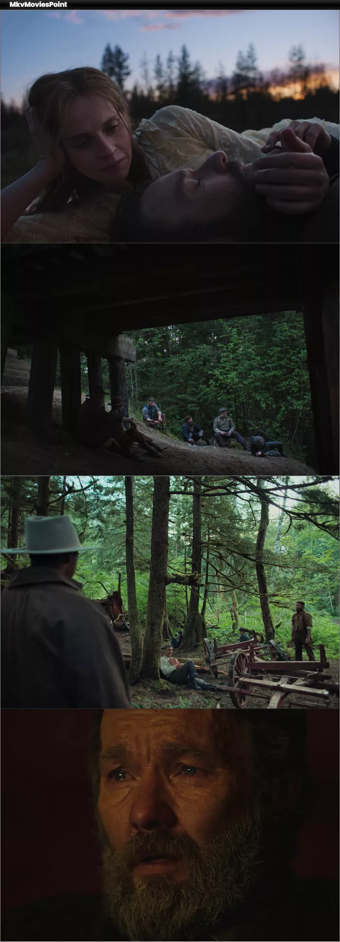 Train Dreams (2025) HDRip 1080p 720p 480p Dual Audio Hindi English Screenshot