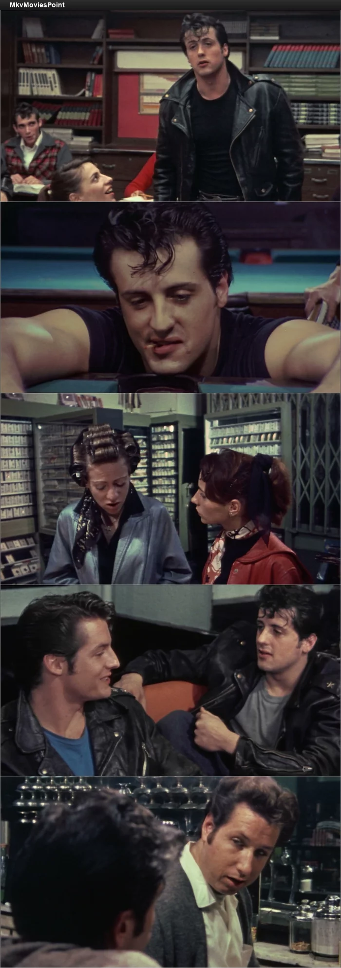 The Lords of Flatbush (1974) BluRay 1080p 720p 480p Dual Audio Hindi English Screenshot