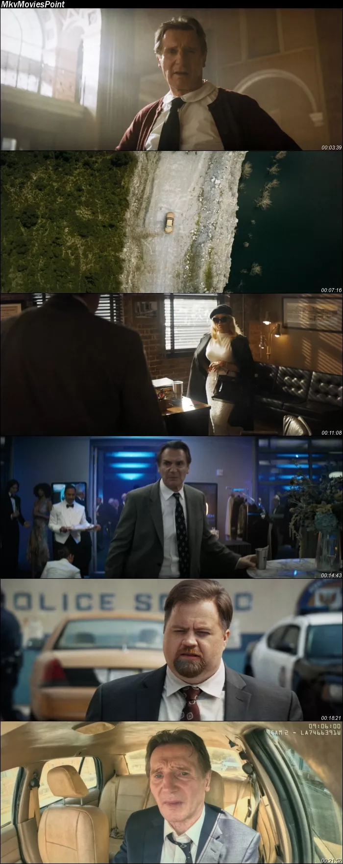 The Naked Gun (2025) HDRip 1080p 720p 480p ORG Dual Audio Hindi English Screenshot