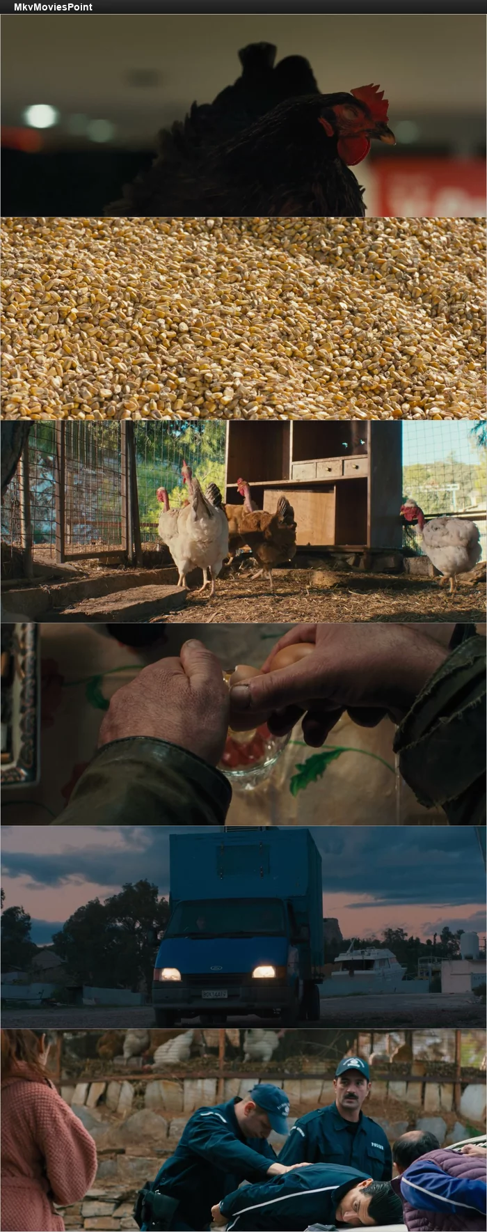 Hen (2026) HDRip 1080p 720p 480p Dual Audio Hindi Greek Screenshot