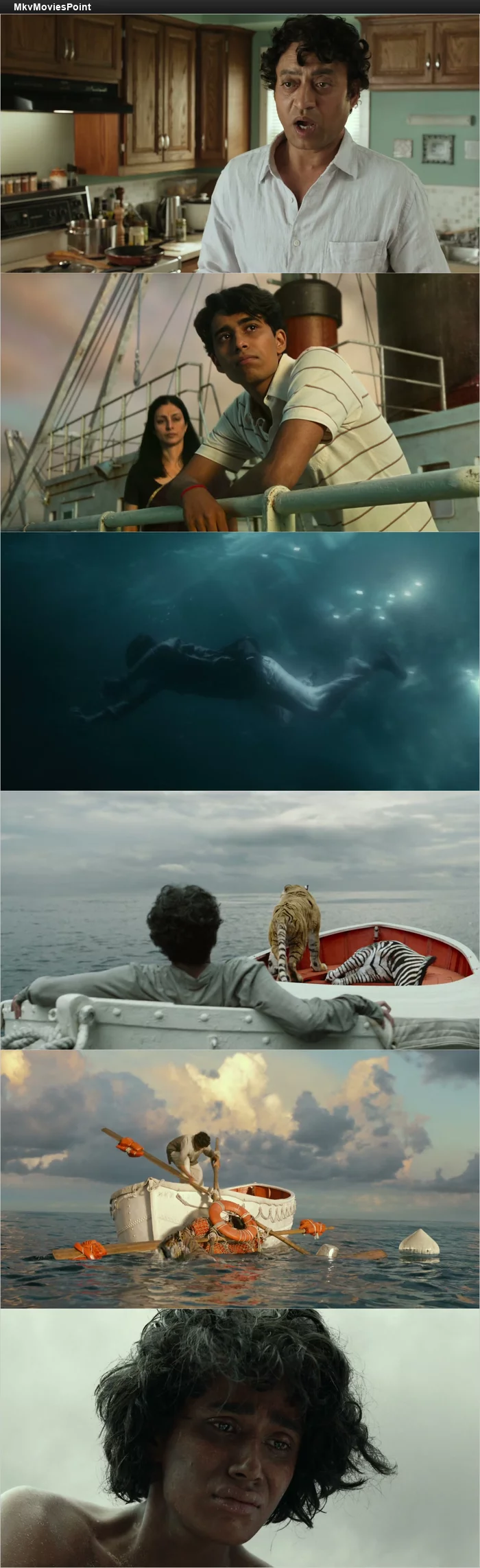 Life of Pi (2012) BluRay 1080p 720p 480p Dual Audio Hindi English Screenshot