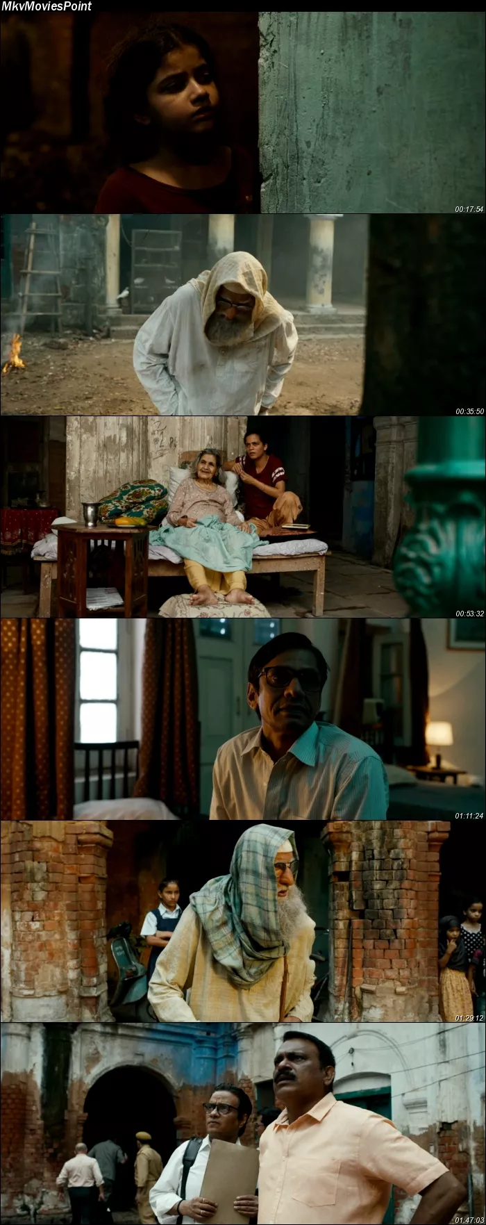 Gulabo Sitabo (2020) Hindi HDRip 1080p 720p 480p Full Movie Screenshot
