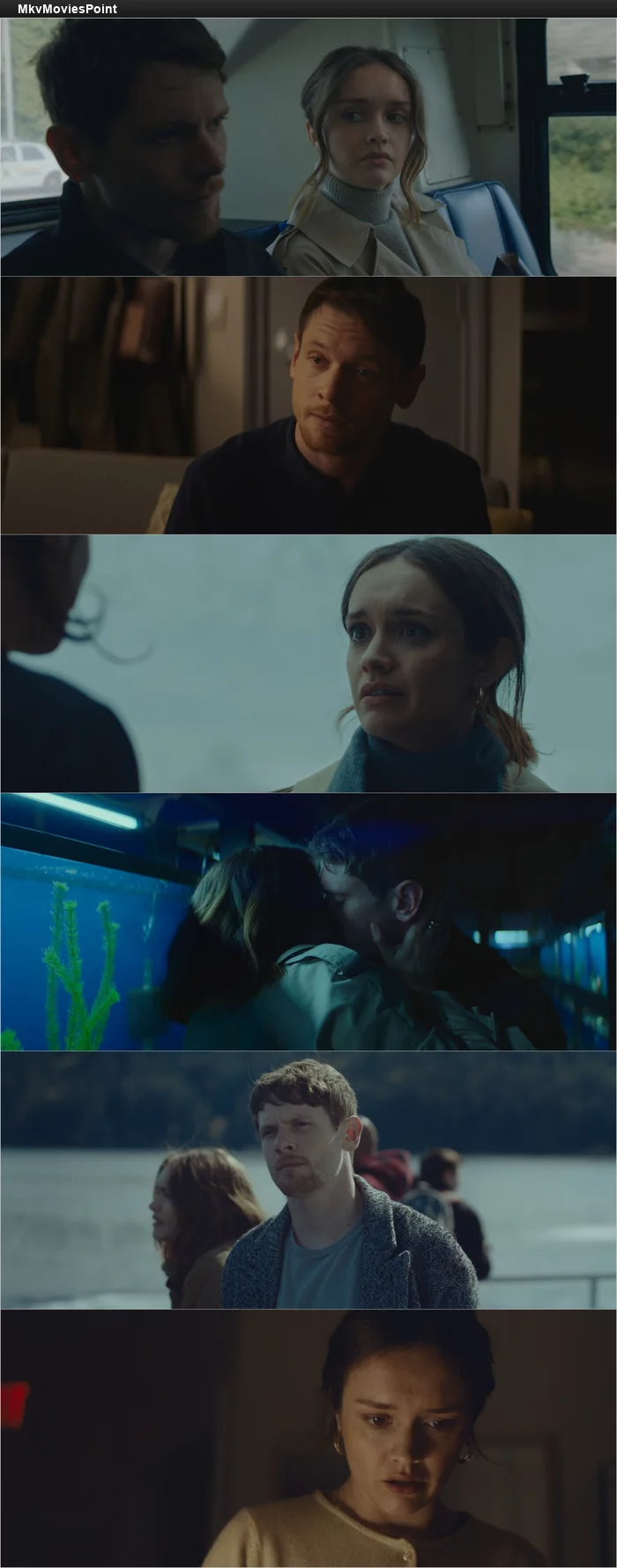 Little Fish (2021) BluRay 1080p 720p 480p Dual Audio Hindi English Screenshot