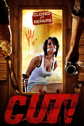 Cut! (2014) HDRip 1080p 720p 480p Dual Audio Hindi English