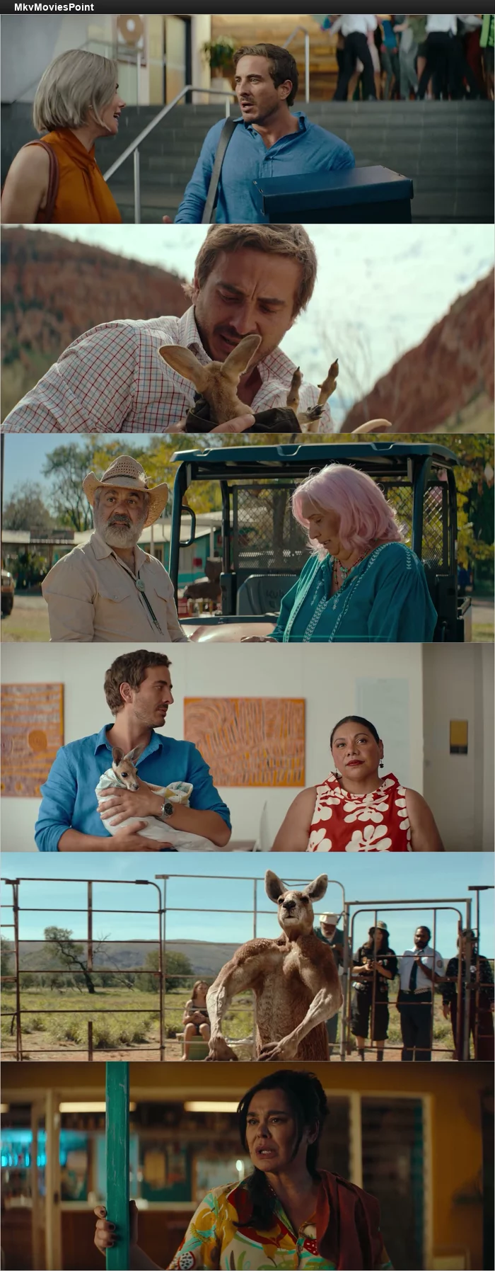 Kangaroo (2025) HDRip 1080p 720p 480p Dual Audio Hindi English Screenshot